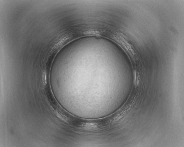 X0000115530157200911201726