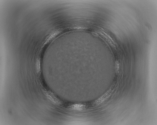 X0000115530158200911201726