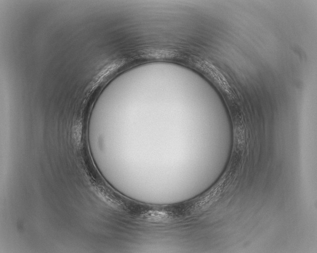 X0000115530159200911201726