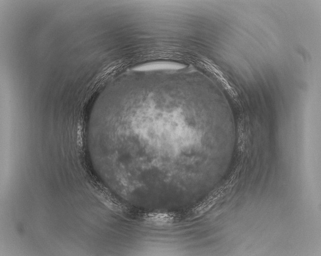 X0000115530161200911201726