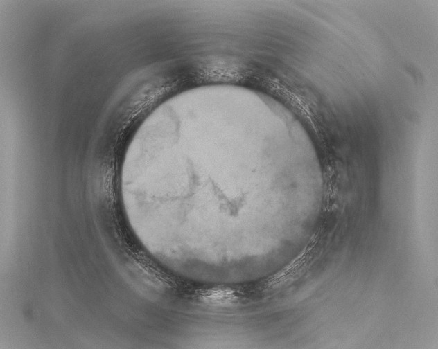 X0000115530162200911201726