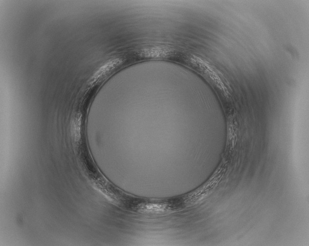 X0000115530163200911201726