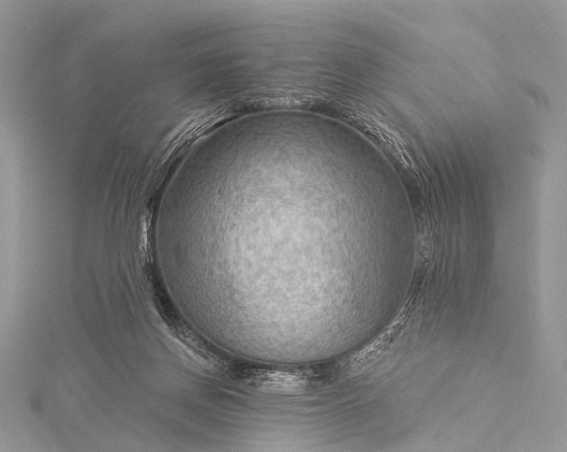 X0000115530166200911201727