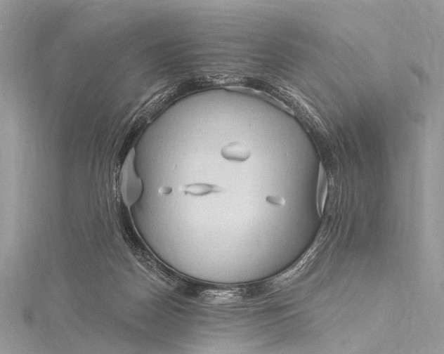 X0000115530170200911201727