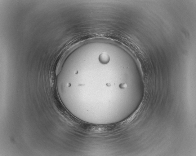 X0000115530174200911201727