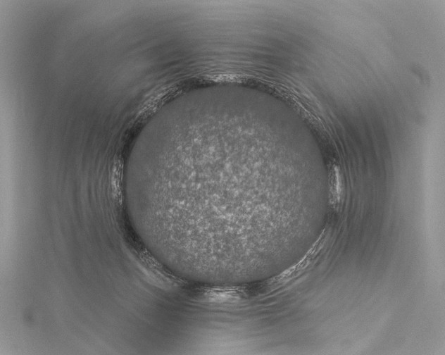 X0000115530175200911201727