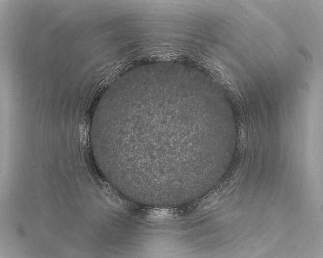 X0000115530177200911201727