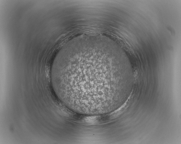 X0000115530178200911201727