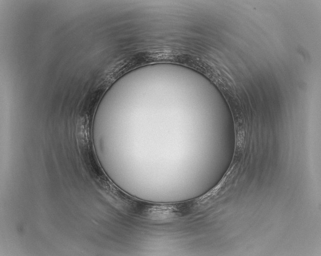 X0000115530179200911201727