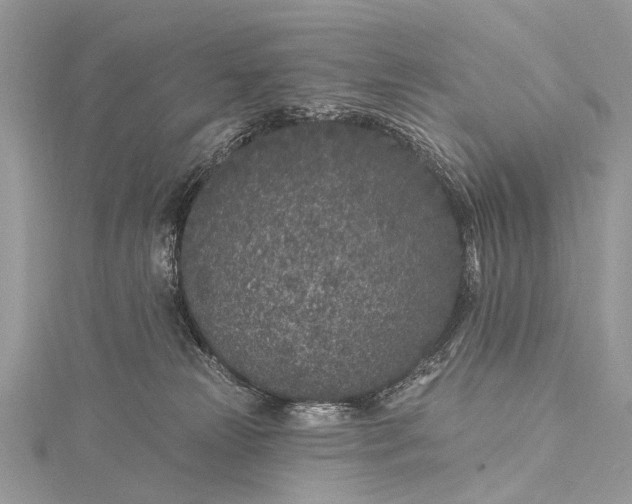 X0000115530181200911201727