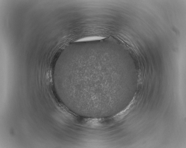 X0000115530182200911201727