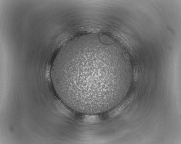 X0000115530185200911201727