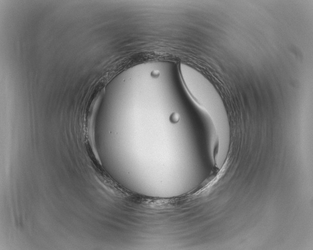 X0000115530186200911201727