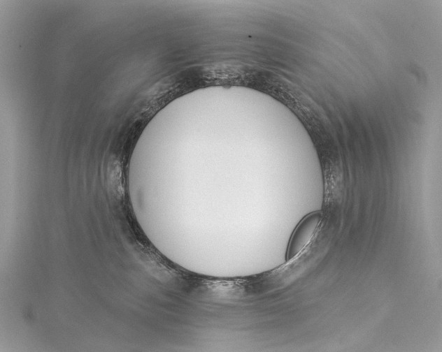 X0000115530187200911201727