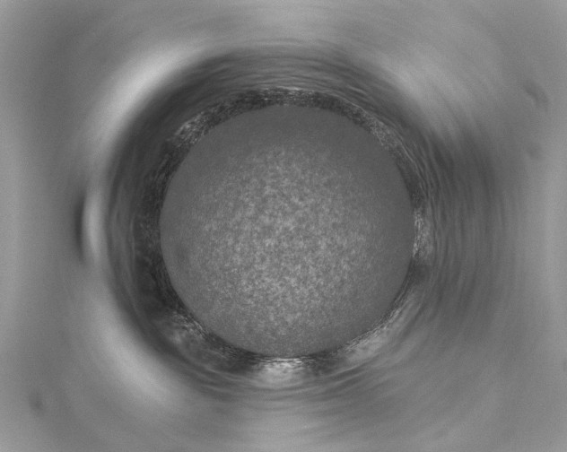 X0000115530189200911201727