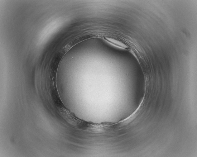 X0000115530190200911201727