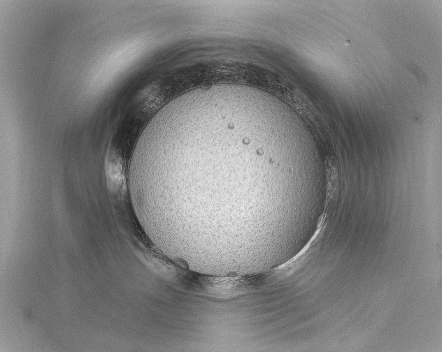 X0000115530191200911201727