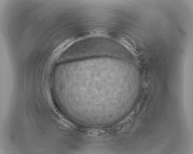 X0000115530193200911201726