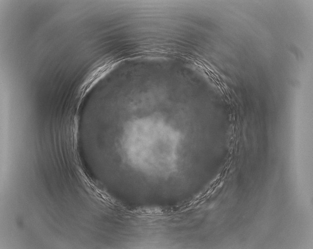 X0000115530194200911201726