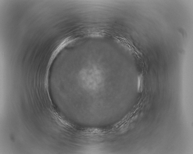 X0000115530195200911201726