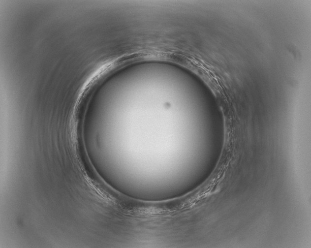 X0000115530197200911201726