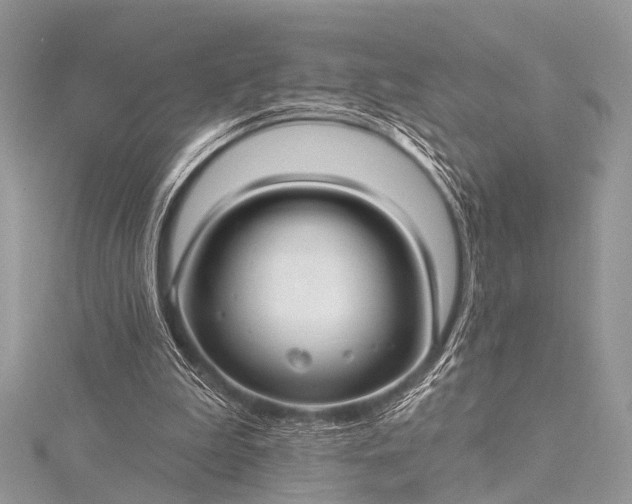 X0000115530199200911201726