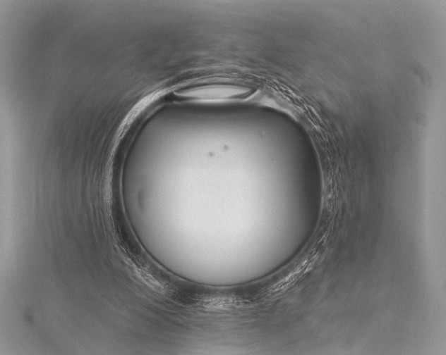 X0000115530200200911201726