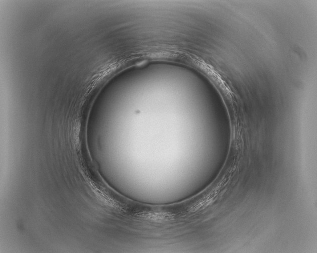 X0000115530201200911201726