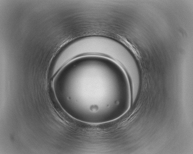 X0000115530203200911201726