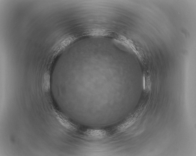 X0000115530205200911201726