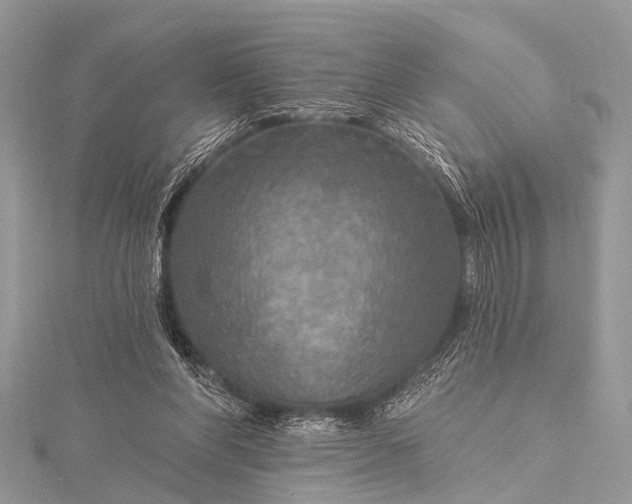 X0000115530206200911201726