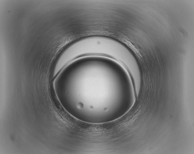 X0000115530207200911201726