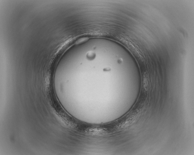 X0000115530208200911201726