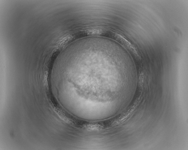 X0000115530209200911201726