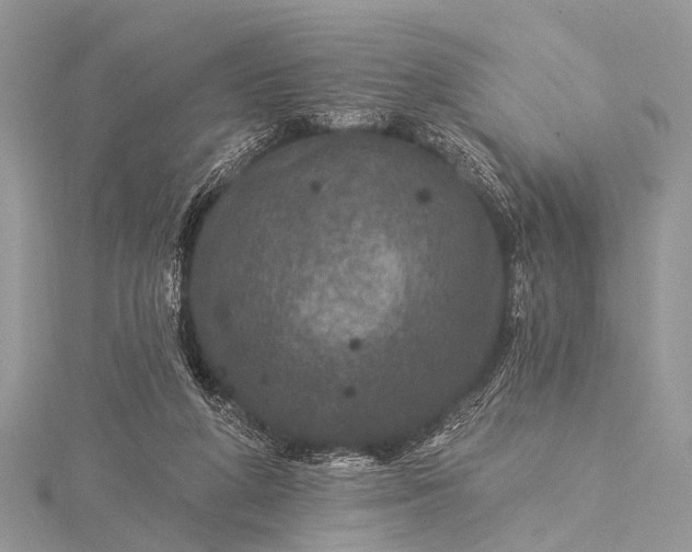 X0000115530210200911201726