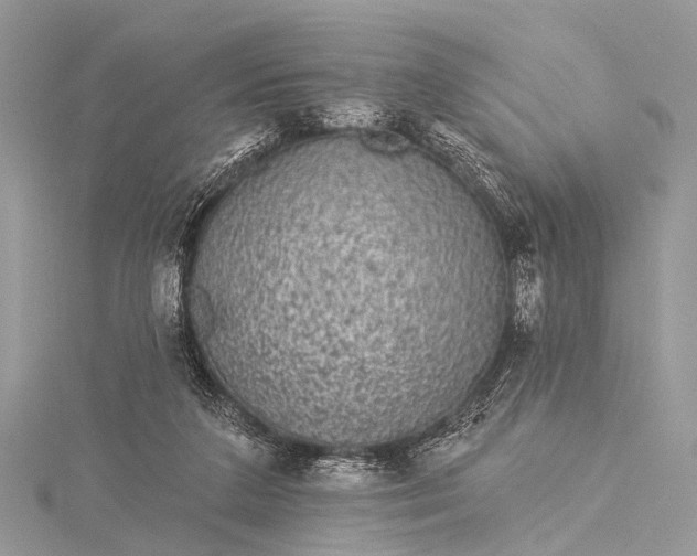 X0000115530211200911201726