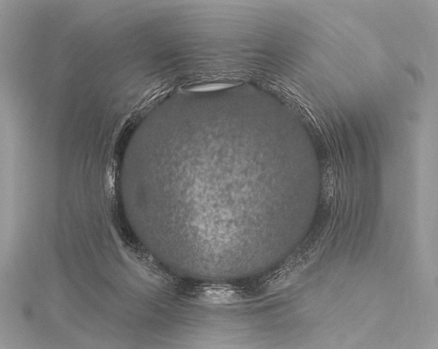 X0000115530214200911201726