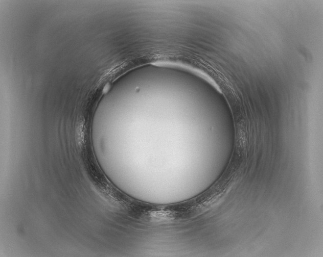 X0000115530216200911201726