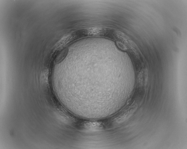 X0000115530217200911201726