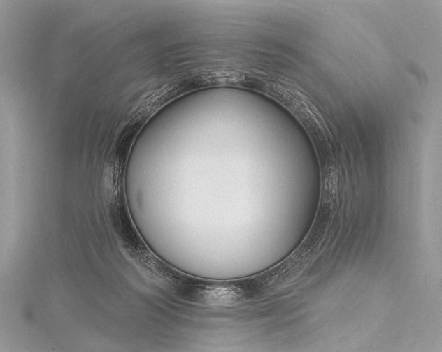 X0000115530218200911201726