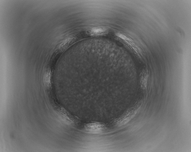 X0000115530219200911201726