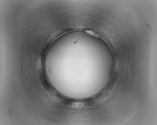 X0000115530220200911201726