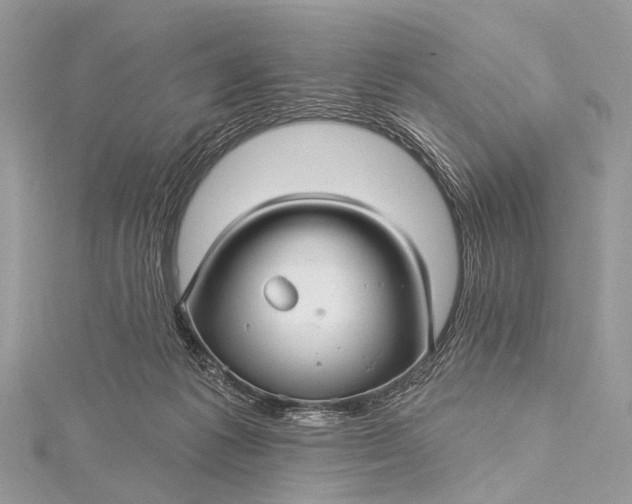 X0000115530221200911201726