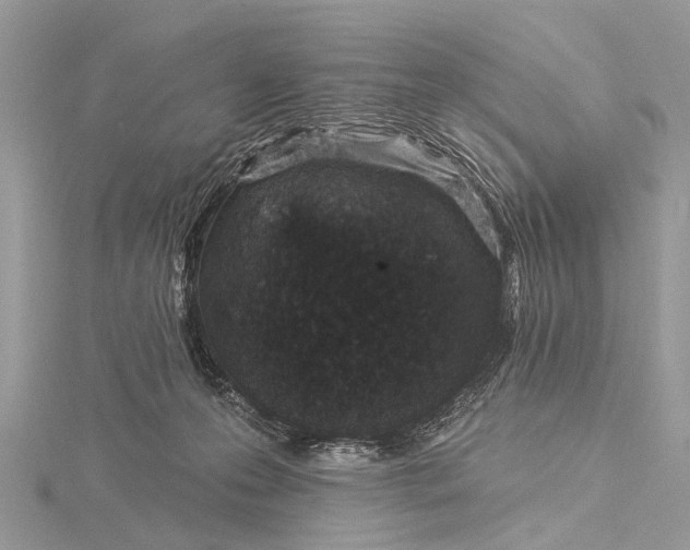 X0000115530223200911201726