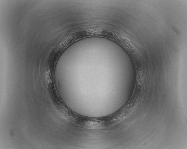 X0000115530224200911201726