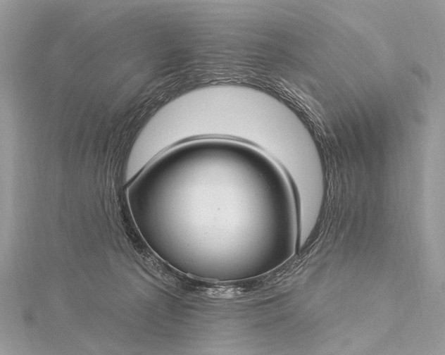 X0000115530225200911201726