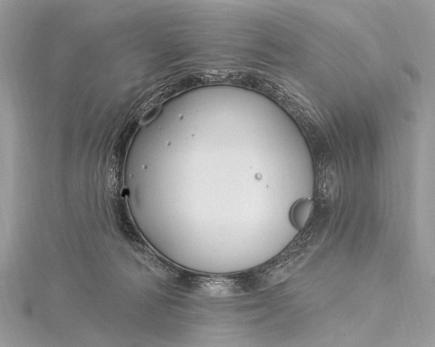 X0000115530226200911201726