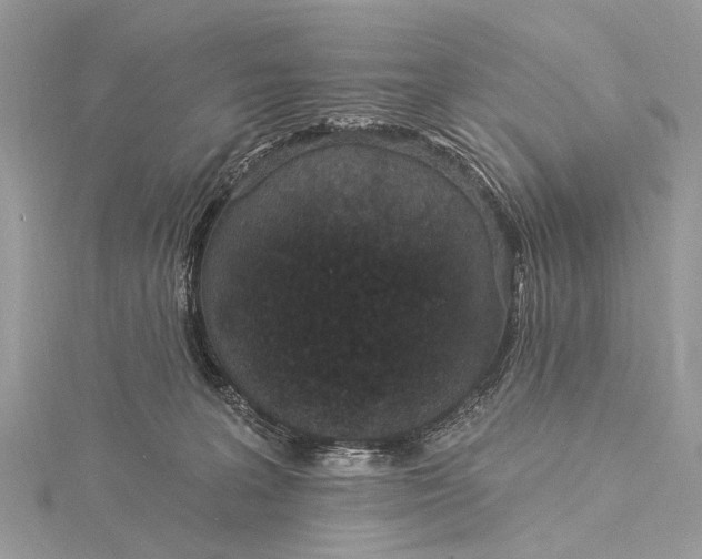 X0000115530227200911201726