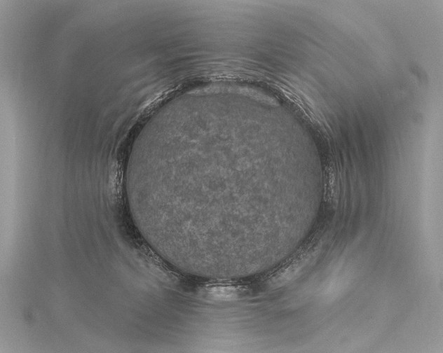 X0000115530228200911201726