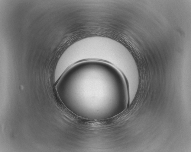 X0000115530229200911201726